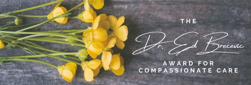 Yellow Daffodils - The Dr. Ed Brecevic Award for Compassionate Care